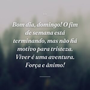 Bom dia, domingo! O fim de semana está terminando, mas não há motivo para tristeza. Viver é uma aventura. Força e ânimo!