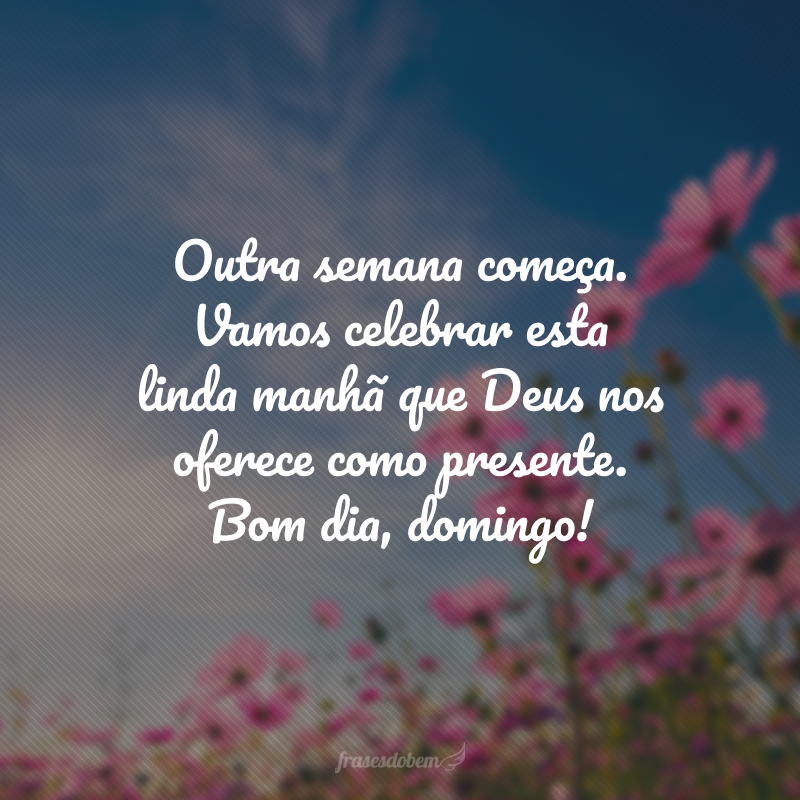 Outra semana começa. Vamos celebrar esta linda manhã que Deus nos oferece como presente. Bom dia, domingo!