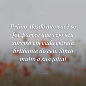 Primo, desde que você se foi, parece que vejo seu sorriso em cada estrela brilhante do céu. Sinto muito a sua falta!