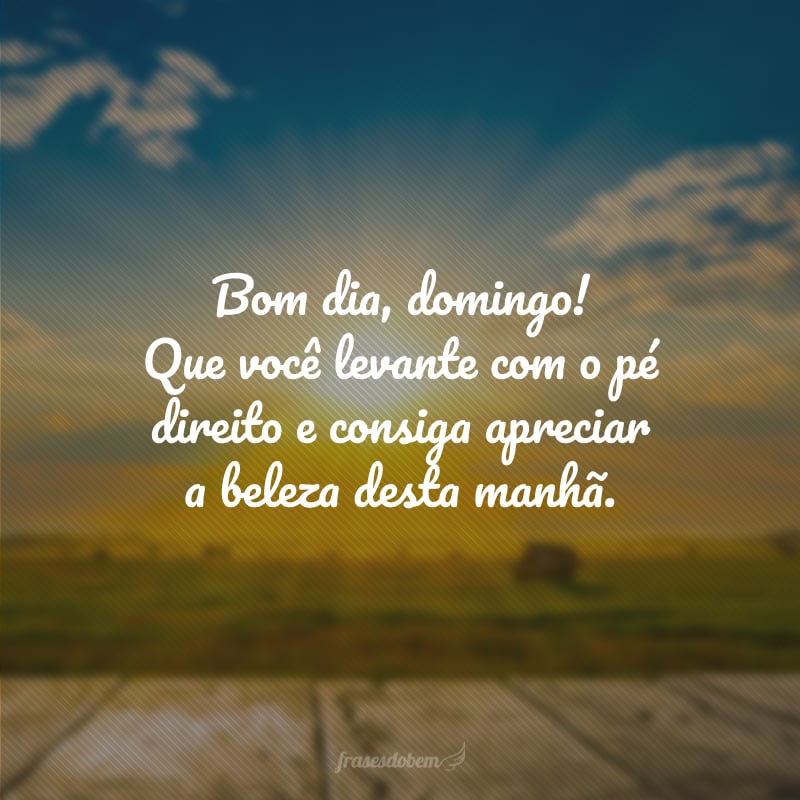 Bom dia, domingo! Que você levante com o pé direito e consiga apreciar a beleza desta manhã.