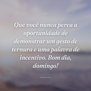 Que você nunca perca a oportunidade de demonstrar um gesto de ternura e uma palavra de incentivo. Bom dia, domingo!