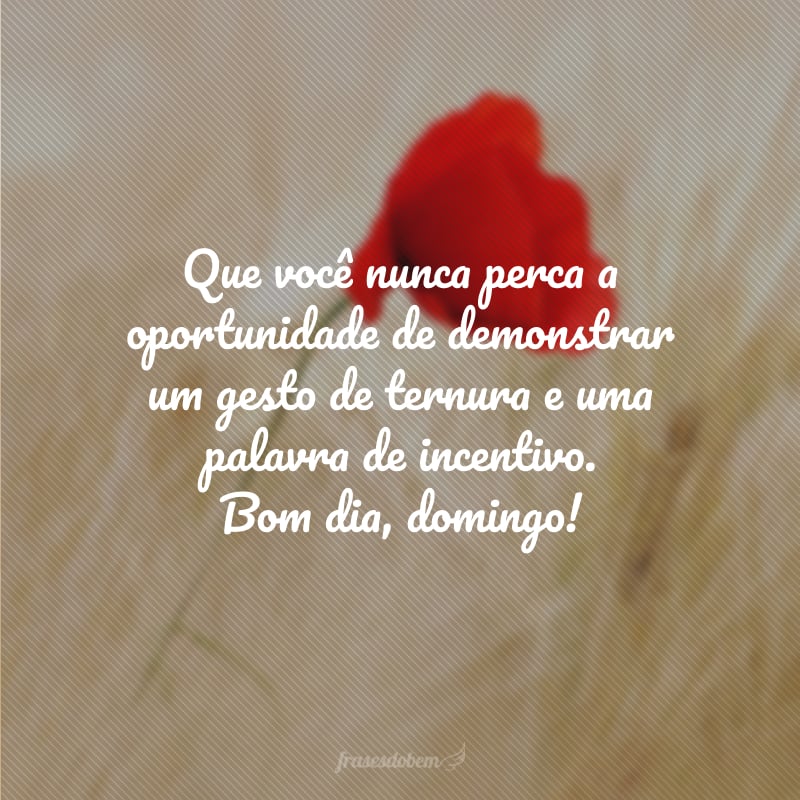 Que você nunca perca a oportunidade de demonstrar um gesto de ternura e uma palavra de incentivo. Bom dia, domingo!