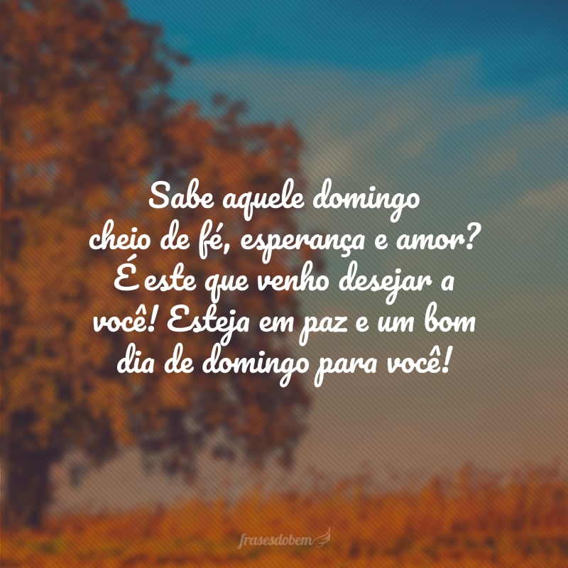 Sabe aquele domingo cheio de fé, esperança e amor? É este que venho desejar a você! Esteja em paz e um bom dia de domingo para você!