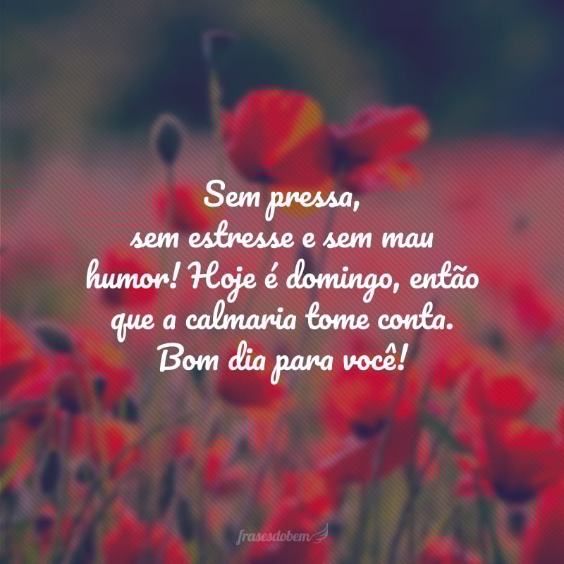 Sem pressa, sem estresse e sem mau humor! Hoje é domingo, então que a calmaria tome conta. Bom dia para você!
