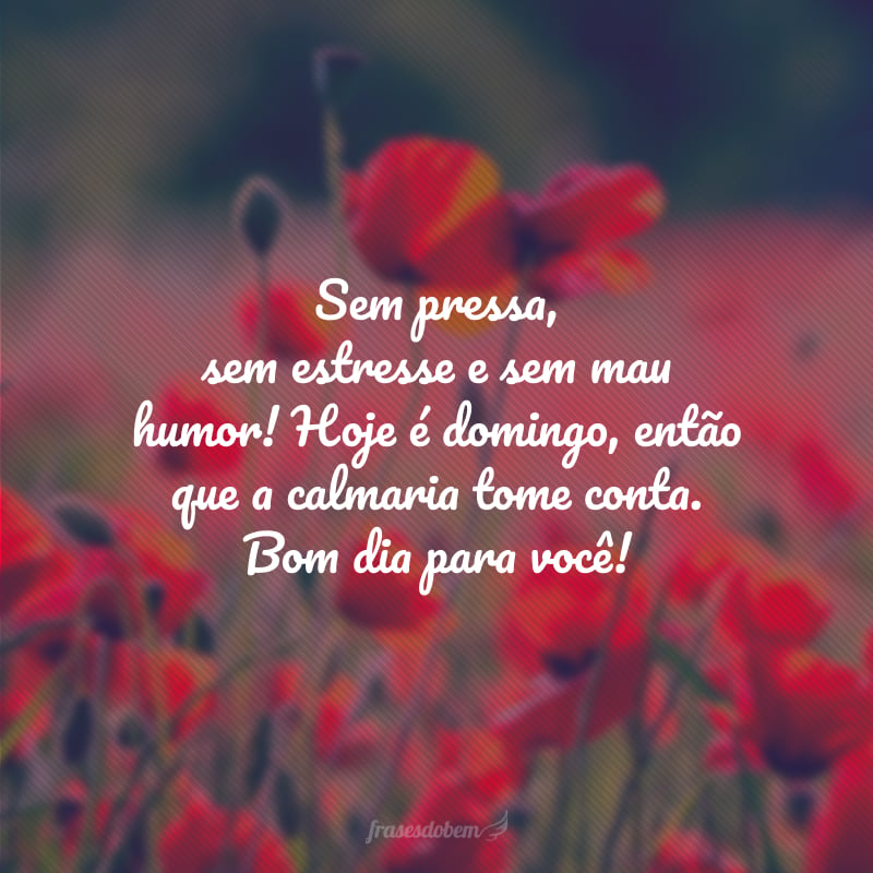 Sem pressa, sem estresse e sem mau humor! Hoje é domingo, então que a calmaria tome conta. Bom dia para você!