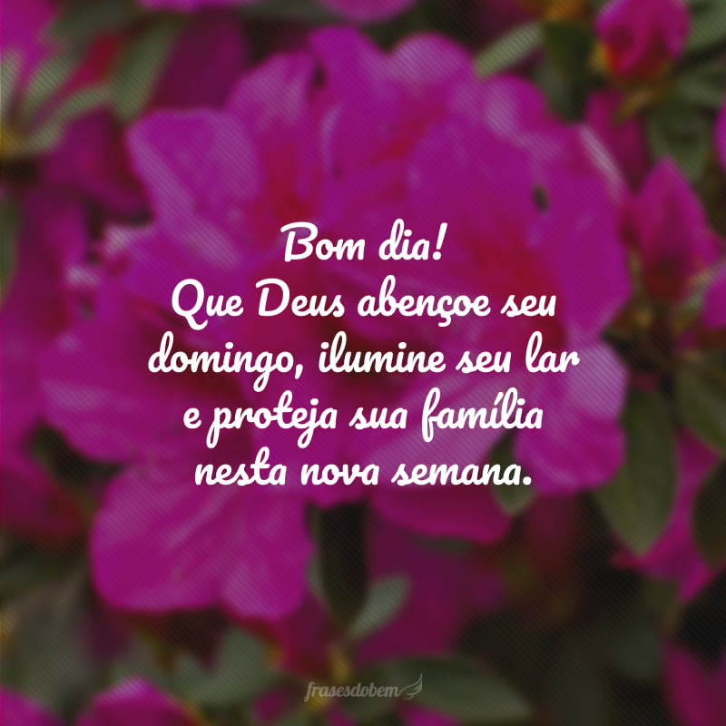 Bom dia! Que Deus abençoe seu domingo, ilumine seu lar e proteja sua família nesta nova semana.