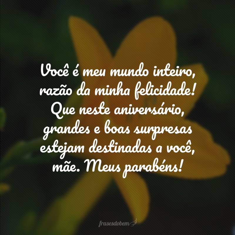 Você é meu mundo inteiro, razão da minha felicidade! Que neste aniversário, grandes e boas surpresas estejam destinadas a você, mãe. Meus parabéns!