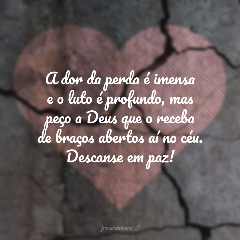 A dor da perda é imensa e o luto é profundo, mas peço a Deus que o receba de braços abertos aí no céu. Descanse em paz!