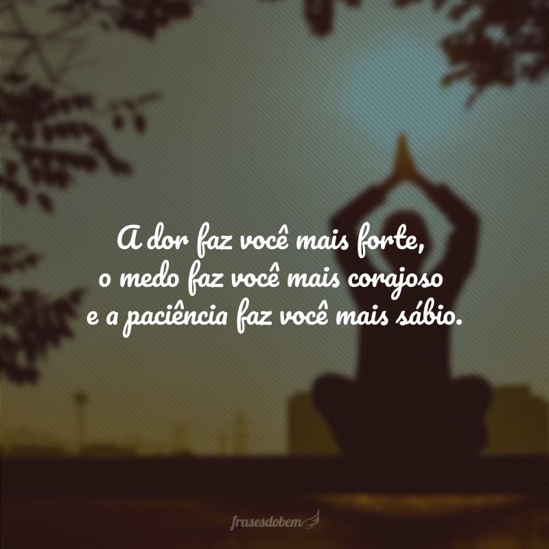 A dor faz você mais forte, o medo faz você mais corajoso e a paciência faz você mais sábio. 