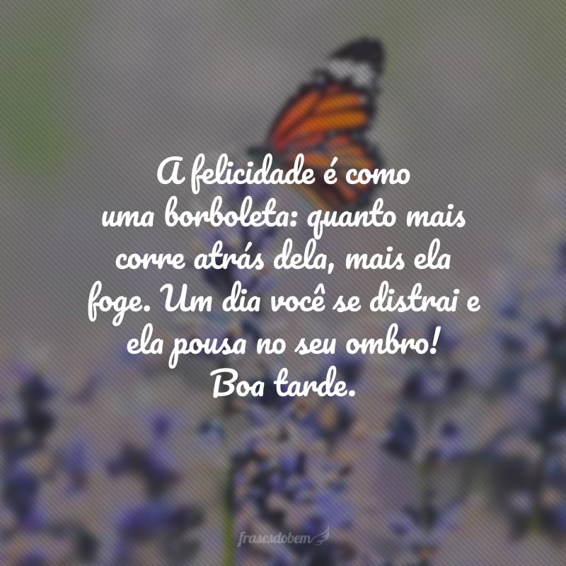 A felicidade é como uma borboleta: quanto mais corre atrás dela, mais ela foge. Um dia você se distrai e ela pousa no seu ombro! Boa tarde.