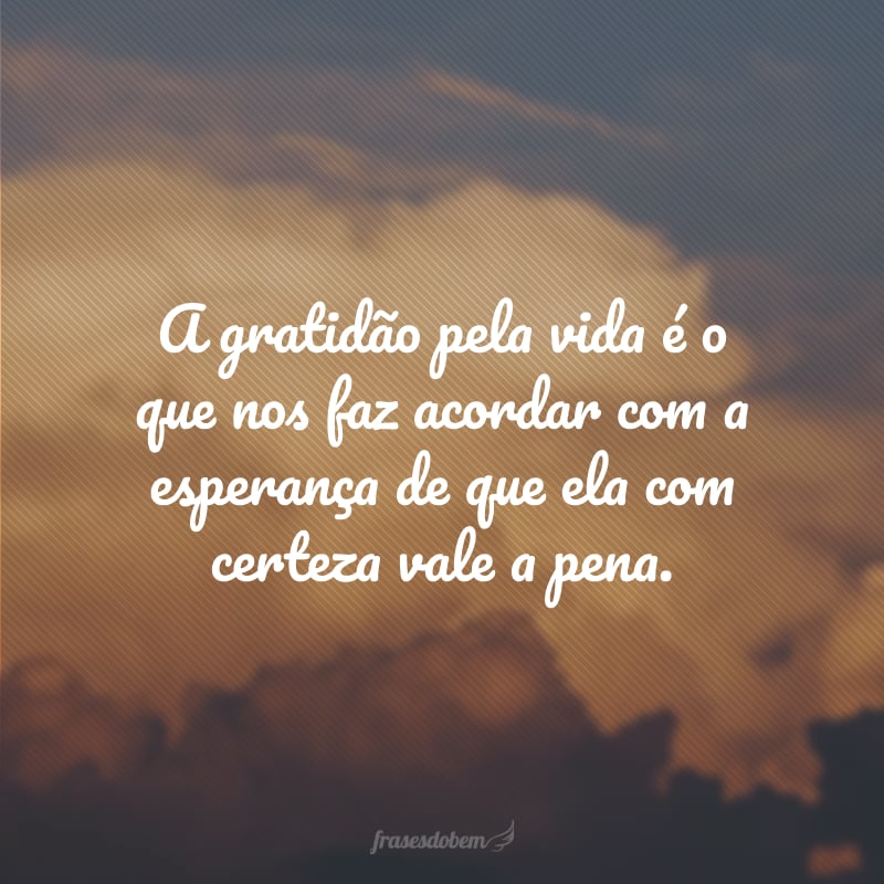 A gratidão pela vida é o que nos faz acordar com a esperança de que ela com certeza vale a pena.