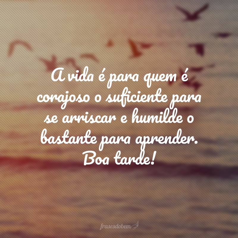 A vida é para quem é corajoso o suficiente para se arriscar e humilde o bastante para aprender. Boa tarde!