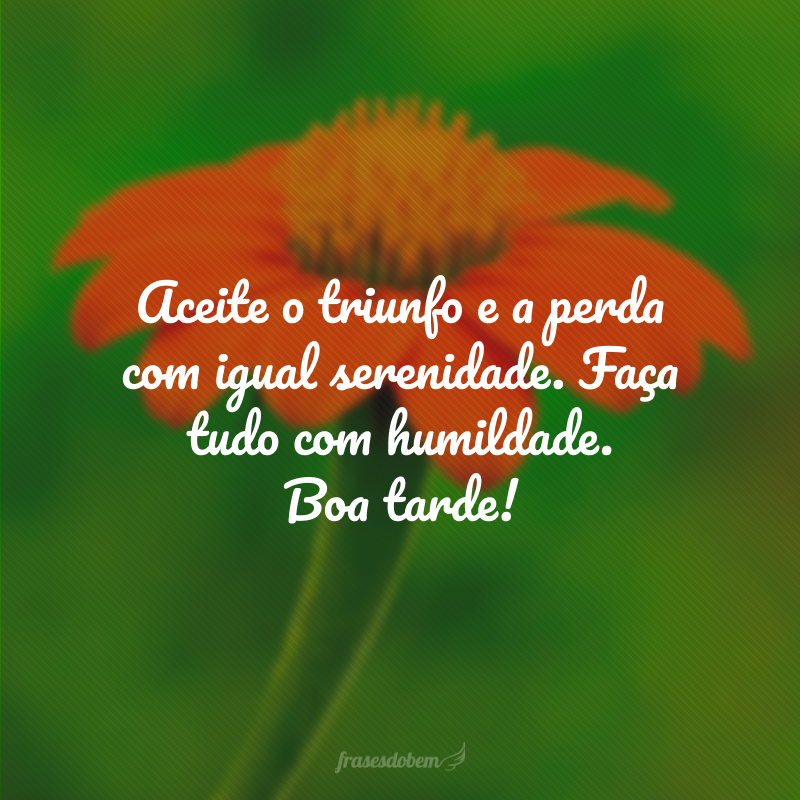 80 frases de boa tarde com carinho e boas intenções 80 frases de boa tarde com carinho e boas intenções
