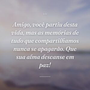 Amigo, você partiu desta vida, mas as memórias de tudo que compartilhamos nunca se apagarão. Que sua alma descanse em paz!