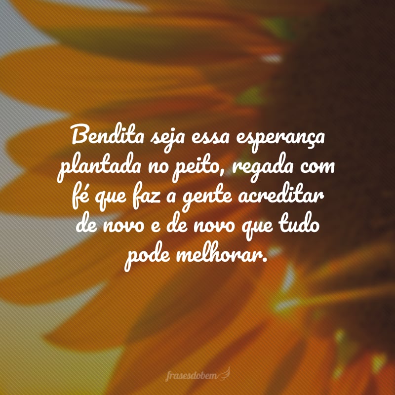 Bendita seja essa esperança plantada no peito, regada com fé que faz a gente acreditar de novo e de novo que tudo pode melhorar.