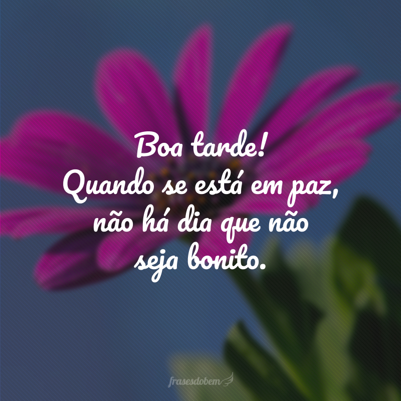 80 frases de boa tarde com carinho e boas intenções 80 frases de boa tarde com carinho e boas intenções