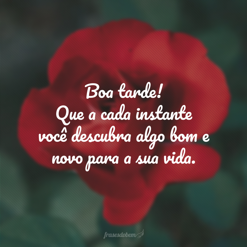 80 frases de boa tarde com carinho e boas intenções 80 frases de boa tarde com carinho e boas intenções