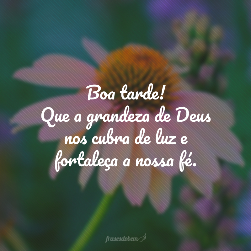 80 frases de boa tarde com carinho e boas intenções