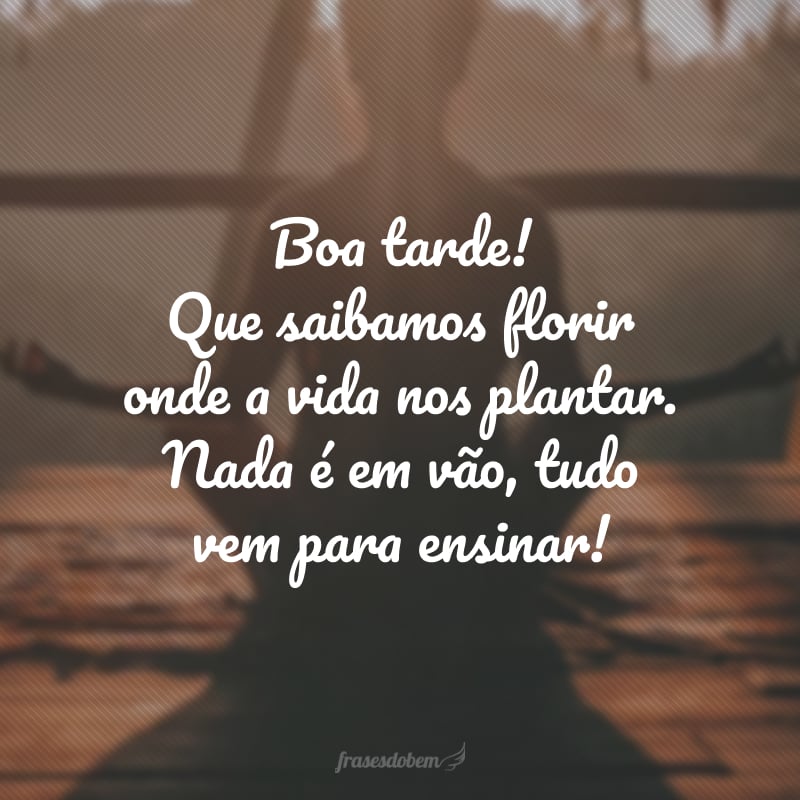 Boa tarde! Que saibamos florir onde a vida nos plantar. Nada é em vão, tudo vem para ensinar!