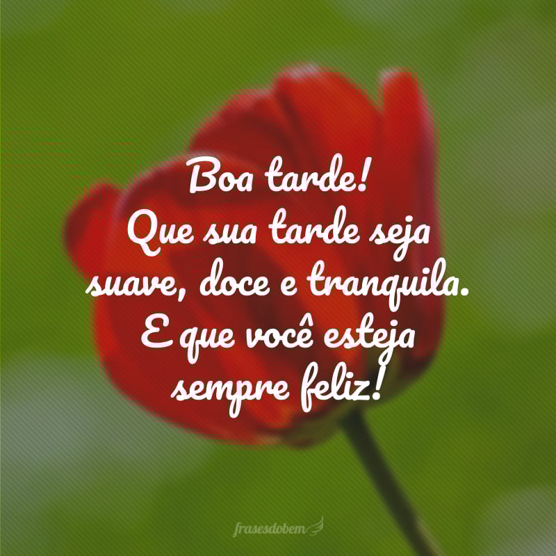 80 frases de boa tarde com carinho e boas intenções 80 frases de boa tarde com carinho e boas intenções