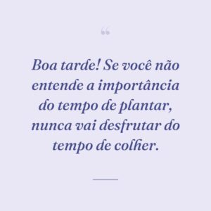 Boa tarde! Se você não entende a importância do tempo de plantar, nunca vai desfrutar do tempo de colher.