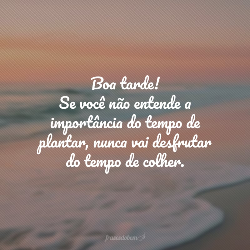 Boa tarde! Se você não entende a importância do tempo de plantar, nunca vai desfrutar do tempo de colher.