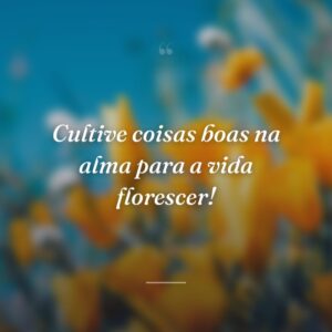 Cultive coisas boas na alma para a vida florescer!