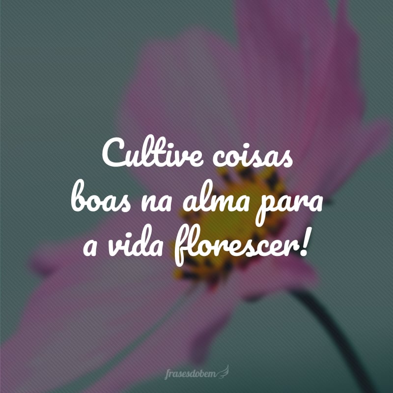 Cultive coisas boas na alma para a vida florescer!