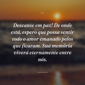 Descanse em paz! De onde está, espero que possa sentir todo o amor emanado pelos que ficaram. Sua memória viverá eternamente entre nós.