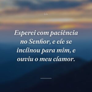 Esperei com paciência no Senhor, e ele se inclinou para mim, e ouviu o meu clamor.
