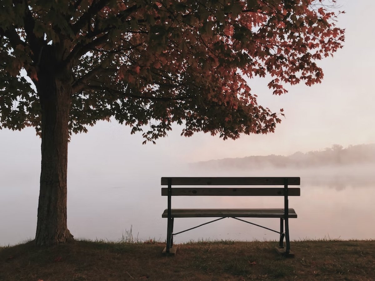 40 frases de descanse em paz para expressar seu pesar