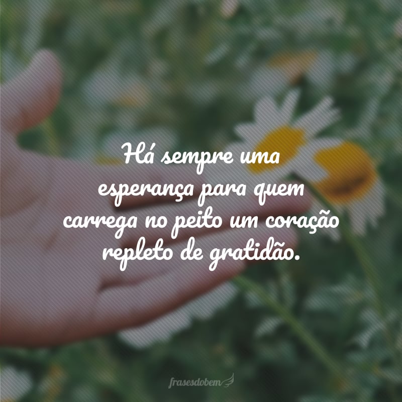 Há sempre uma esperança para quem carrega no peito um coração repleto de gratidão.