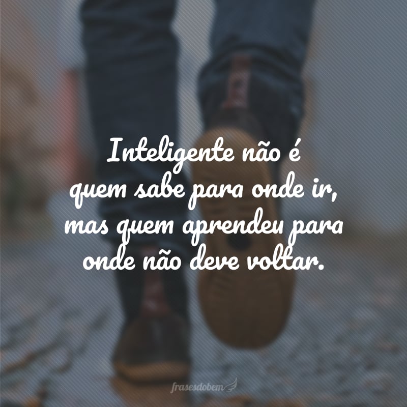 Inteligente não é quem sabe para onde ir, mas quem aprendeu para onde não deve voltar.