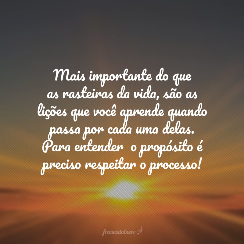 Mais importante do que as rasteiras da vida, são as lições que você aprende quando passa por cada uma delas. Para entender o propósito é preciso respeitar o processo!