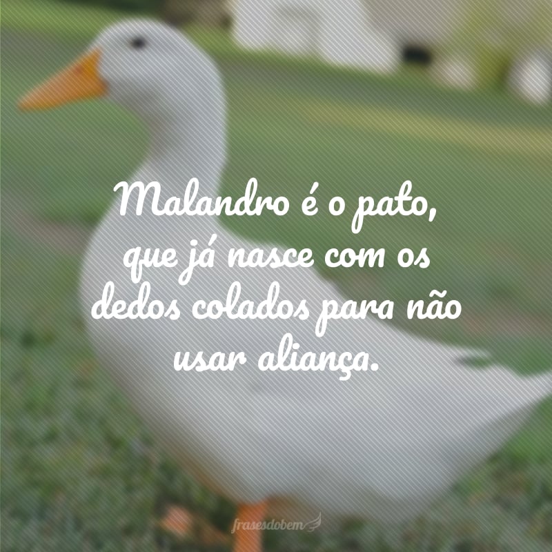 Malandro é o pato, que já nasce com os dedos colados para não usar aliança.