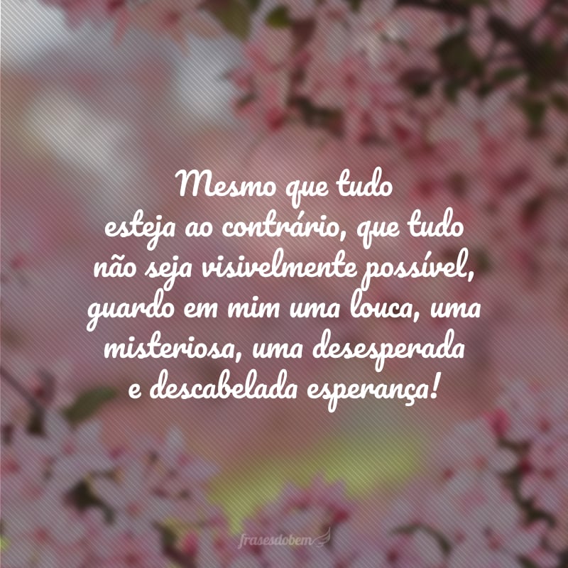 Mesmo que tudo esteja ao contrário, que tudo não seja visivelmente possível, guardo em mim uma louca, uma misteriosa, uma desesperada e descabelada esperança!