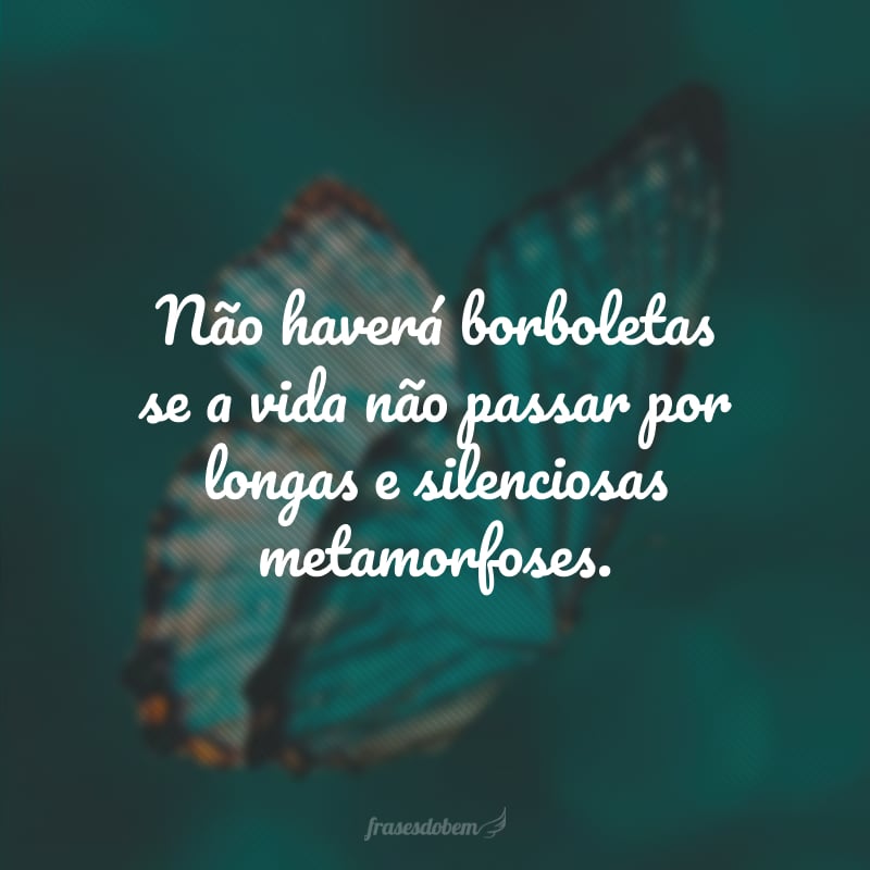 Não haverá borboletas se a vida não passar por longas e silenciosas metamorfoses.