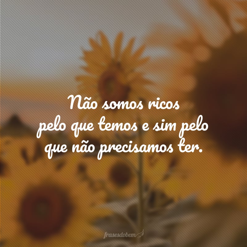 Não somos ricos pelo que temos e sim pelo que não precisamos ter.