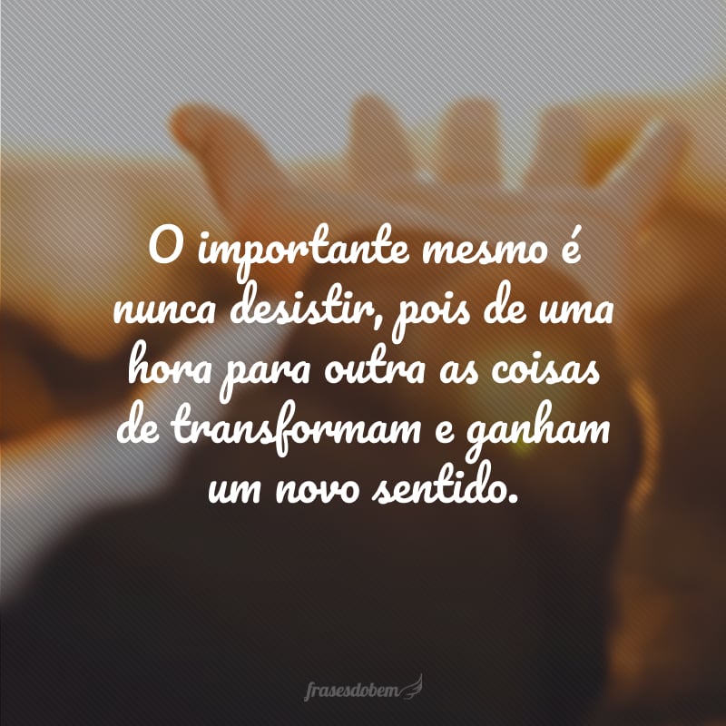 O importante mesmo é nunca desistir, pois de uma hora para outra as coisas de transformam e ganham um novo sentido.