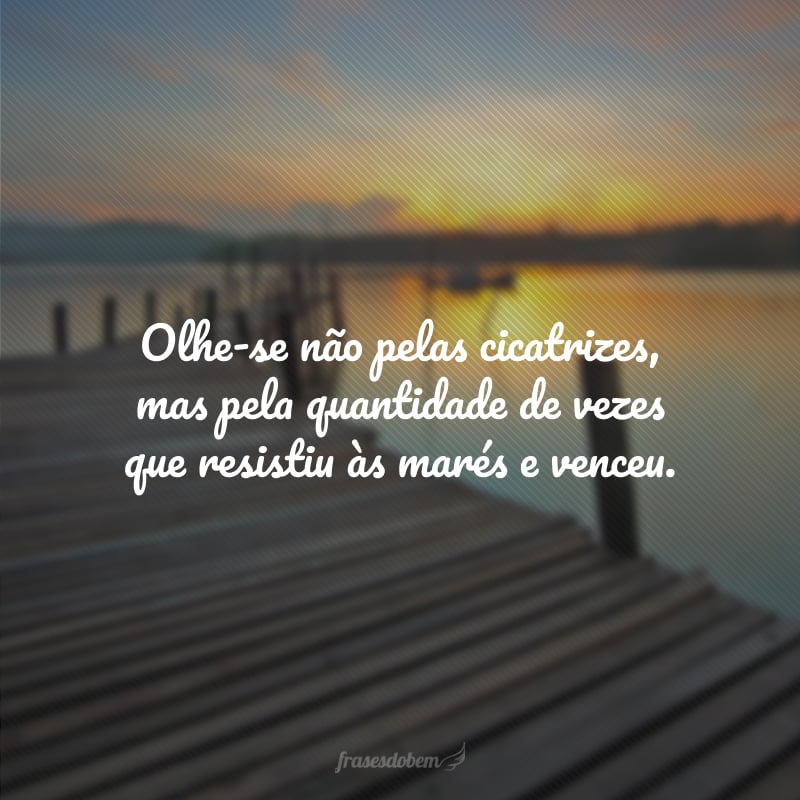 Olhe-se não pelas cicatrizes, mas pela quantidade de vezes que resistiu às marés e venceu.