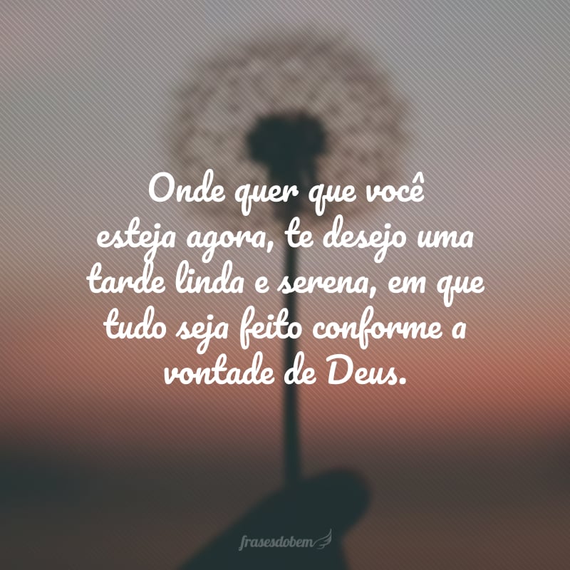 Onde quer que você esteja agora, te desejo uma tarde linda e serena, em que tudo seja feito conforme a vontade de Deus. 
