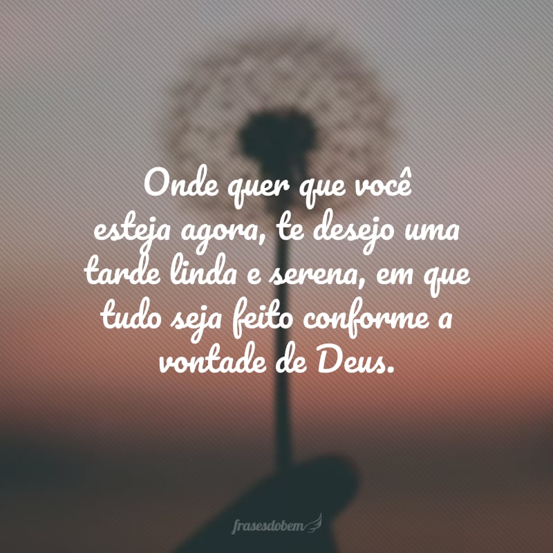 Onde quer que você esteja agora, te desejo uma tarde linda e serena, em que tudo seja feito conforme a vontade de Deus. 