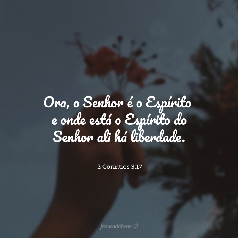 Ora, o Senhor é o Espírito e onde está o Espírito do Senhor ali há liberdade.