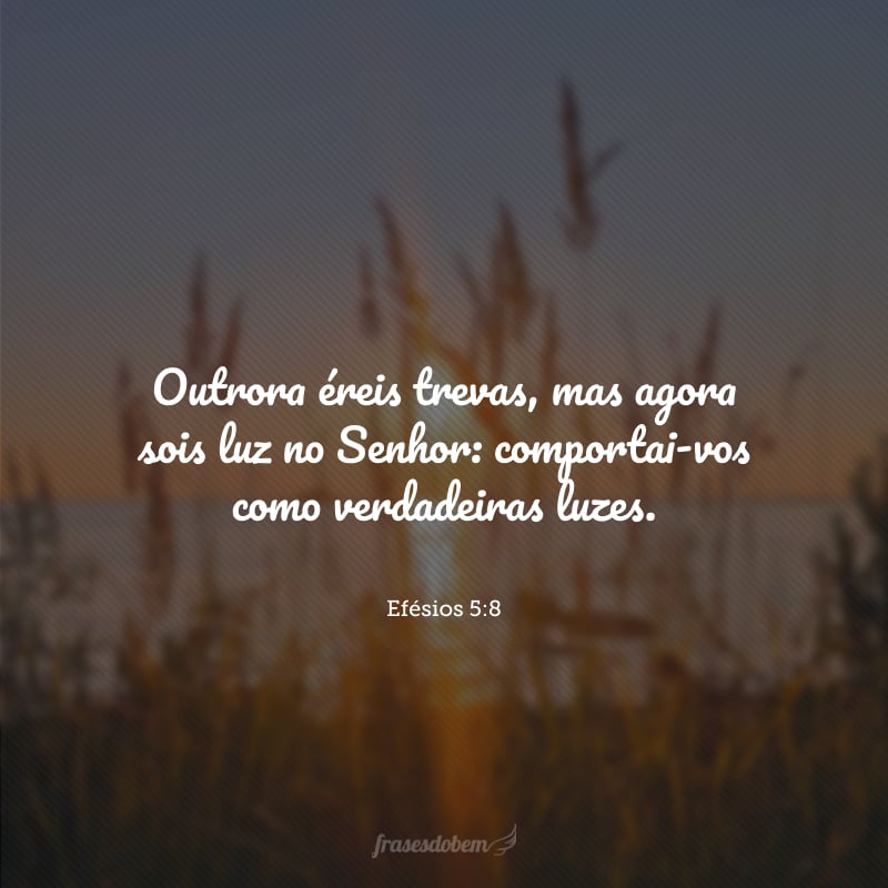 Outrora éreis trevas, mas agora sois luz no Senhor: comportai-vos como verdadeiras luzes.