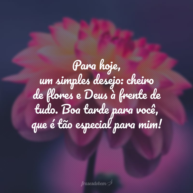 Para hoje, um simples desejo: cheiro de flores e Deus à frente de tudo. Boa tarde para você, que é tão especial para mim!