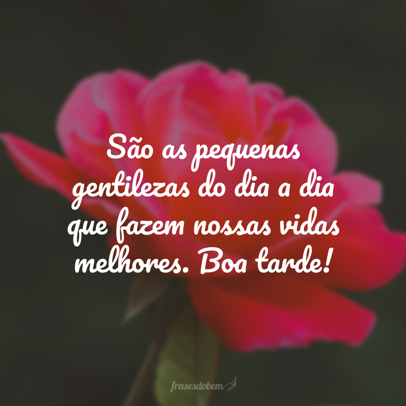 80 frases de boa tarde com carinho e boas intenções 80 frases de boa tarde com carinho e boas intenções