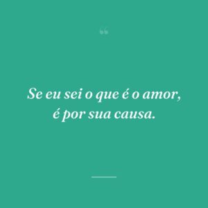 Se eu sei o que é o amor, é por sua causa.