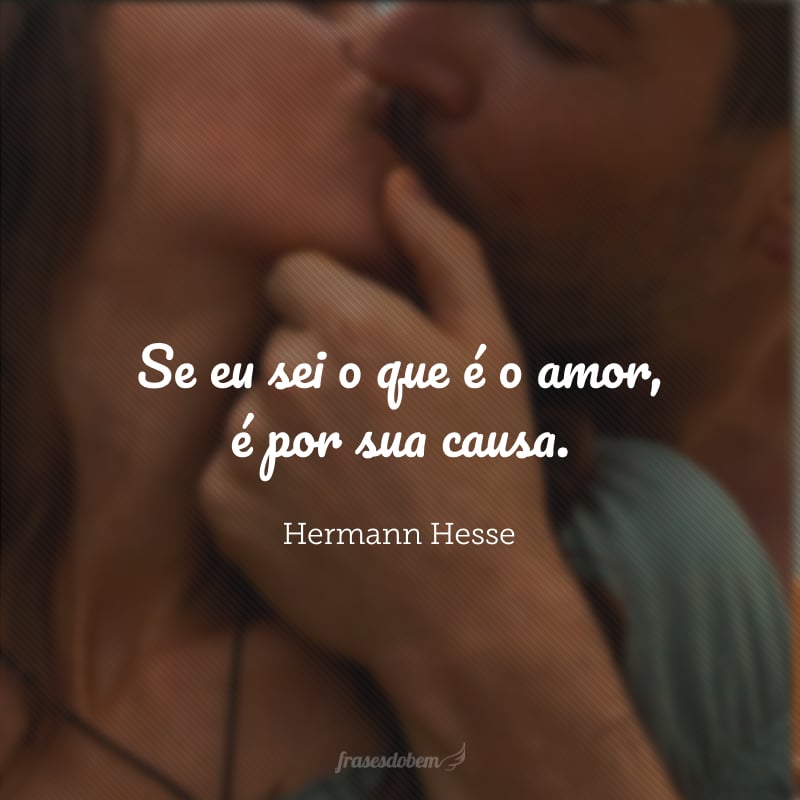 Se eu sei o que é o amor, é por sua causa.