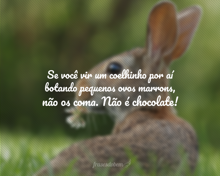 Se você vir um coelhinho por aí botando pequenos ovos marrons, não os coma. Não é chocolate!