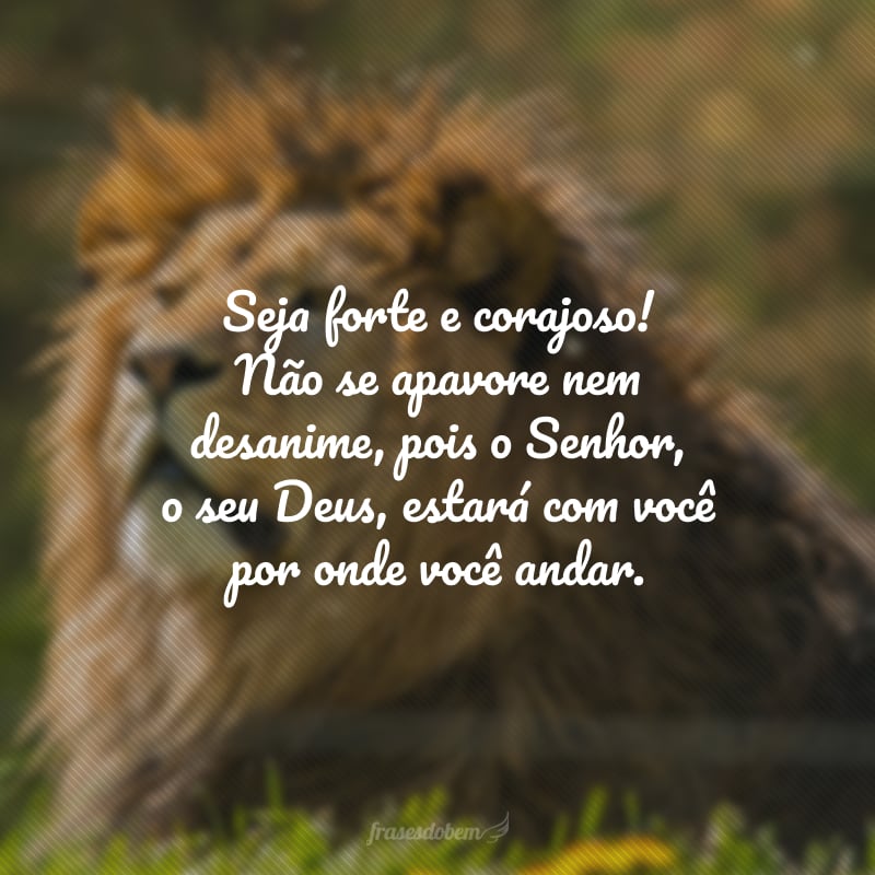 Seja forte e corajoso! Não se apavore nem desanime, pois o Senhor, o seu Deus, estará com você por onde você andar.